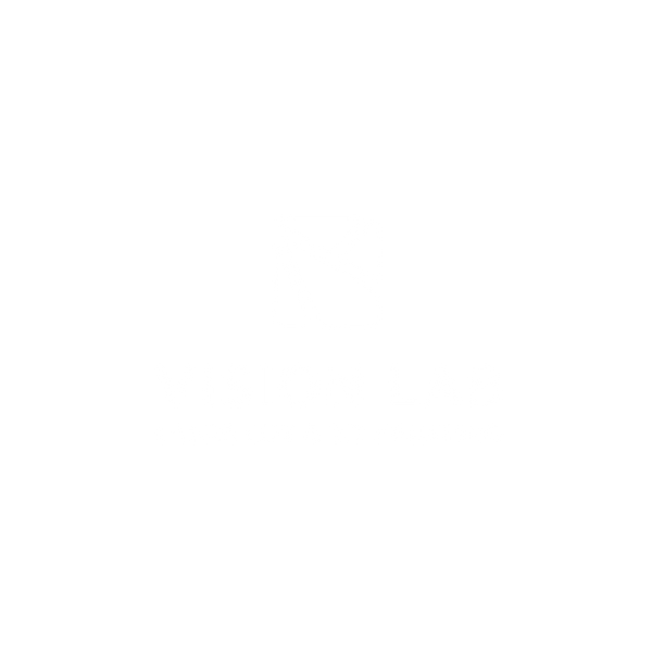 VisionLab24